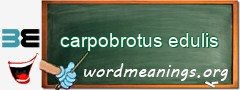 WordMeaning blackboard for carpobrotus edulis